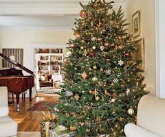 Holiday Tree
